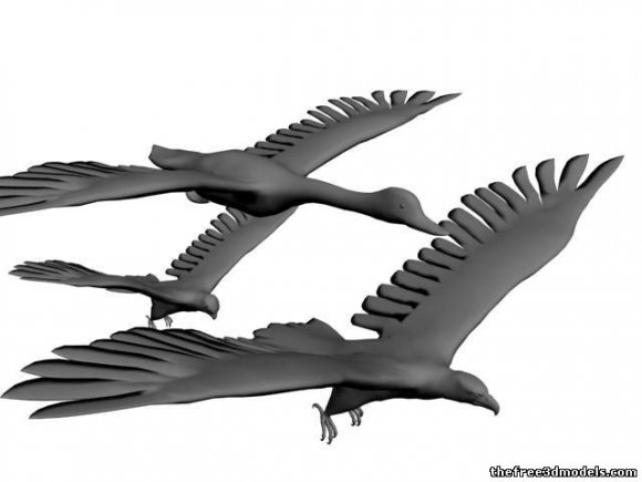 3 Birds Free 3D Model - .max - Free3D