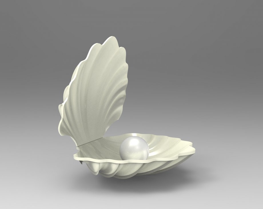 Pearl in Shell Free 3D Model .3dm Free3D