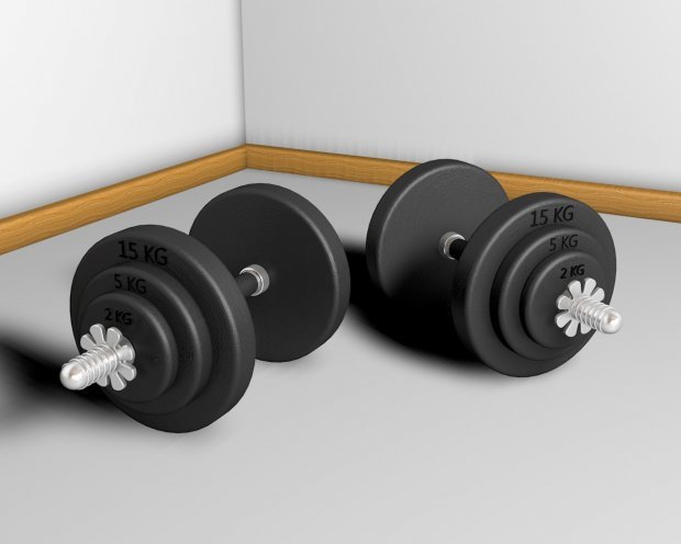 Gantel Free 3D Model - .c4d - Free3D