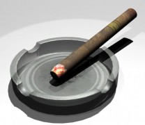 Ashray and Cigar 3d model