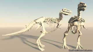 T-Rex 3d model