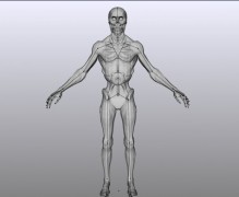 Schale, manipuliert 3d model