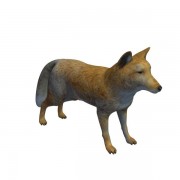 Tibetan Hill Fox v1  3d model