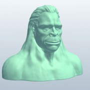 Novelty BustBigfoot v1  3d model